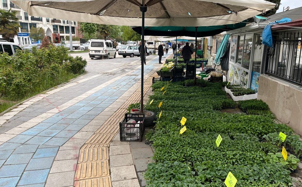 Erbaa’da Fide Sezonu Açıldı: Domates, Biber ve Patlıcan Fideleri Tezgâhta