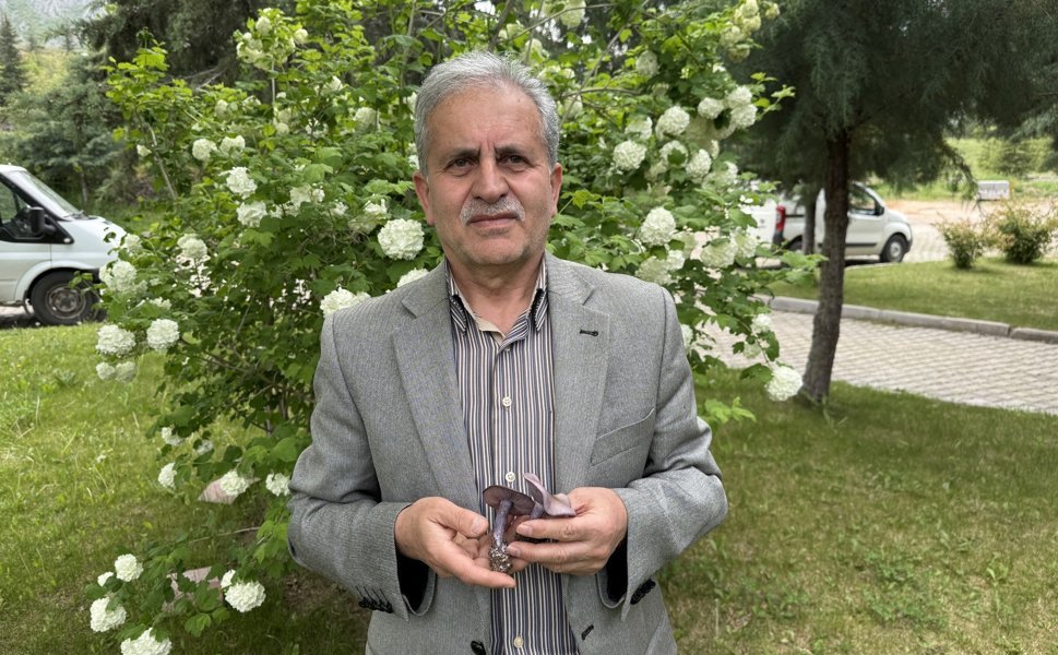 Prof. Dr. Türkekul: Bilmediğiniz Mantarı Tüketmeyin, Uzmanına Danışın