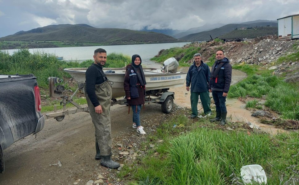 Almus Baraj Gölü’nde Sazan Balığı Üreme Çalışması Yapıldı