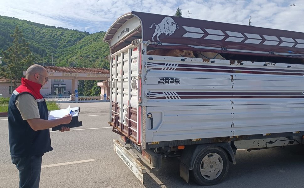 Tokat’ta Kurban Mesaisi Başladı: Veteriner Hekimlerden Yol Denetimi!