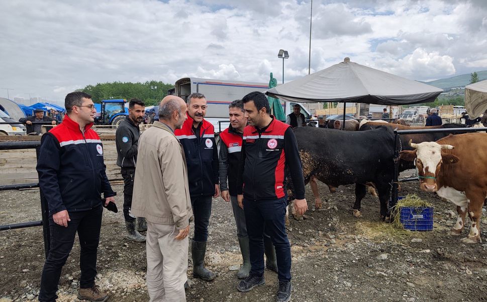 Tokat’ta Kurban Pazarına Üst Düzey Ziyaret: Denetimler Bayram Boyunca Sürecek