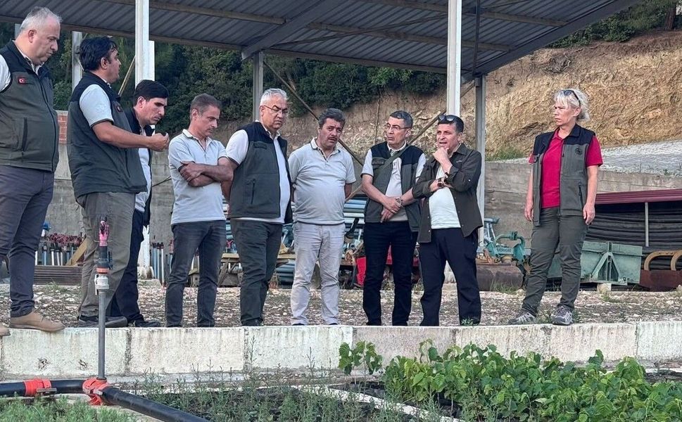 Tokat’ta Modern Fındık Üretimi: Niksar Fidanlığı’nda "Tek Gövde" Dönemi