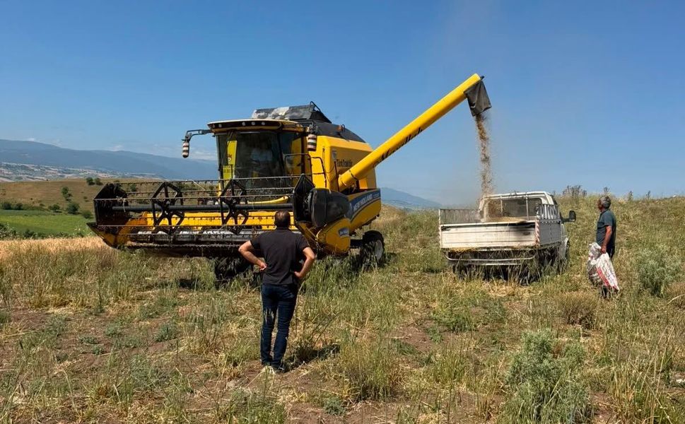 Erbaa'da Hububatta İsrafa Geçit Yok: Biçerdöver Denetimleri Sıkılaştırıldı
