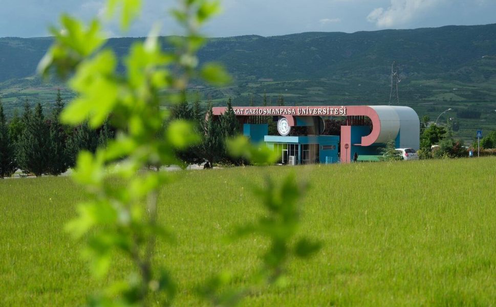 Kampüste Geleceğe Nefes: TOGÜ’de Çınar Ağaçları Toprakla Buluştu