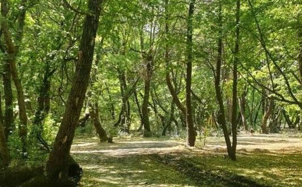 Tokat ve Çevre İllerde Ormanlara Giriş Yasaklandı: İdari ve Adli Ceza Uygulanacak!