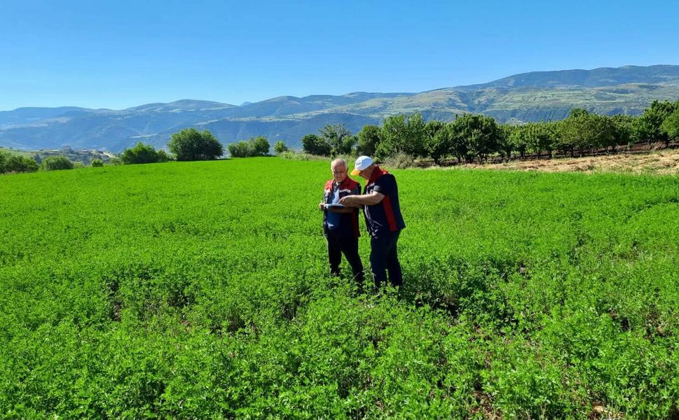 Tokat İl Tarım Müdürlüğü Sahada: 45 Binden Fazla Parselde Yem Bitkisi Kontrolü Başladı