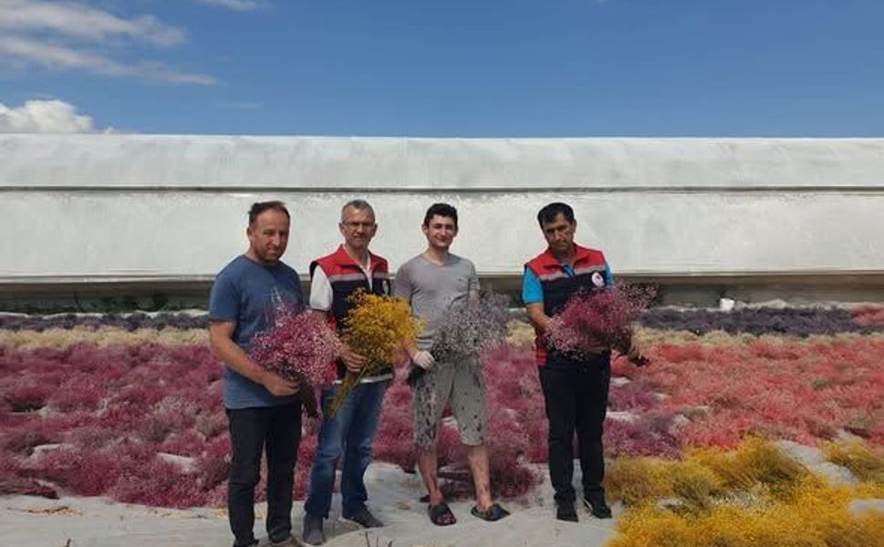 Erbaa İlçe Tarım Müdürlüğü’nden Erbaa’daki Çiçek Üreticilerine Ziyaret