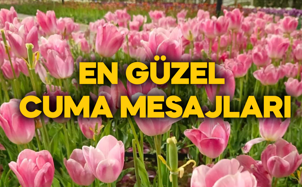 En Yeni Cuma Mesajları 2026: Anlamlı, Dualı, Ayetli ve Kısa Cuma Mesajı Seçenekleri