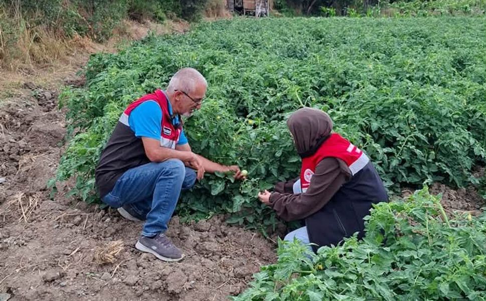 TAKE Projesi Ekim Alanlarında Denetimler Sürüyor