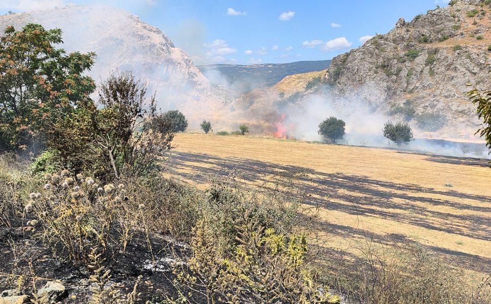 Tokat'ta Ot Yangını, Büyümeden Söndürüldü
