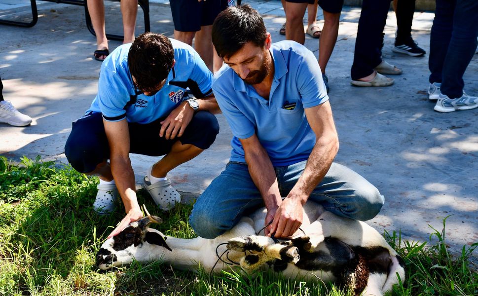 Erbaa Spor Kulübünden Yeni Sezon Öncesinde Adaklık Kurban Kesimi Ve Dua Programı