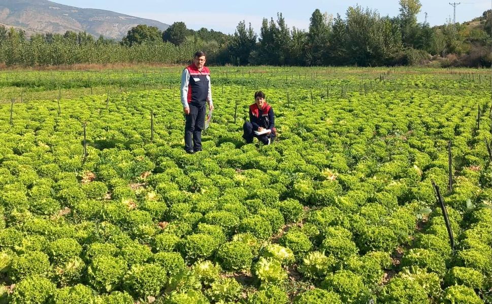 Tokat’ta Hasat Öncesi Pestisit Denetimleri Sürüyor