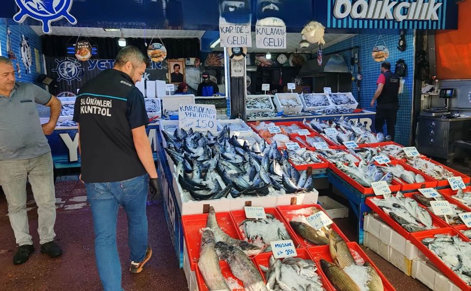 Tokat’ta Balık Satış Noktalarında Sıkı Denetim Mesaisi