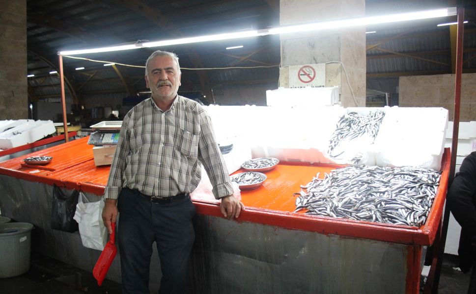 Ekim Ayı Sonunda Erbaa’da Balık Tezgâhları Hareketlendi: Hamsi 250 TL!
