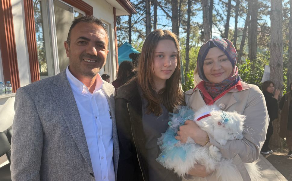 Tokat'ta Kediler Güzellik Yarışmasında Podyuma Çıktı