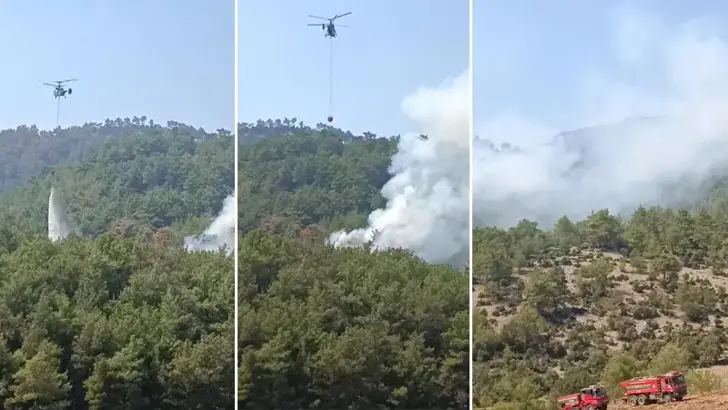 Kozan'da Orman Yangını