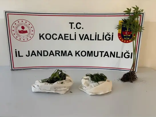 Kocaeli'de Uyuşturucu Operasyonu: 3 Gözaltı